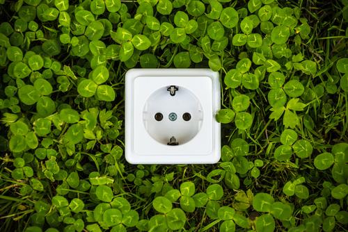Steckdose vor grüner Hecke